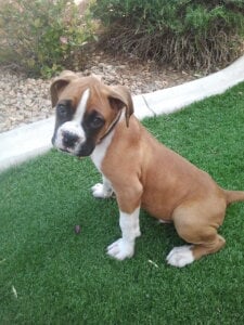 myKullswd Public Εικόνα 6