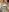 Si_NA_xx ❤️‍🔥2025.プリンス様限定画像❤️‍🔥 Pic 8