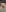 titclitcmndrYummy照片 3
