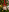 PropertyAndBikerAdult Christmas Ornaments图片 9