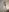 SofiaLopez77のMy two ballsの 2枚の写真