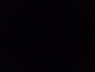 MuslimcouplepakPublic Bild