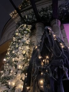 DanaDrake ♠️🌹 Immagine  3