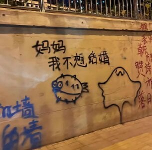 MilkSugar-TPublic图片 3