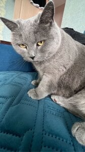 KarenClarks 🐰 Pic 3