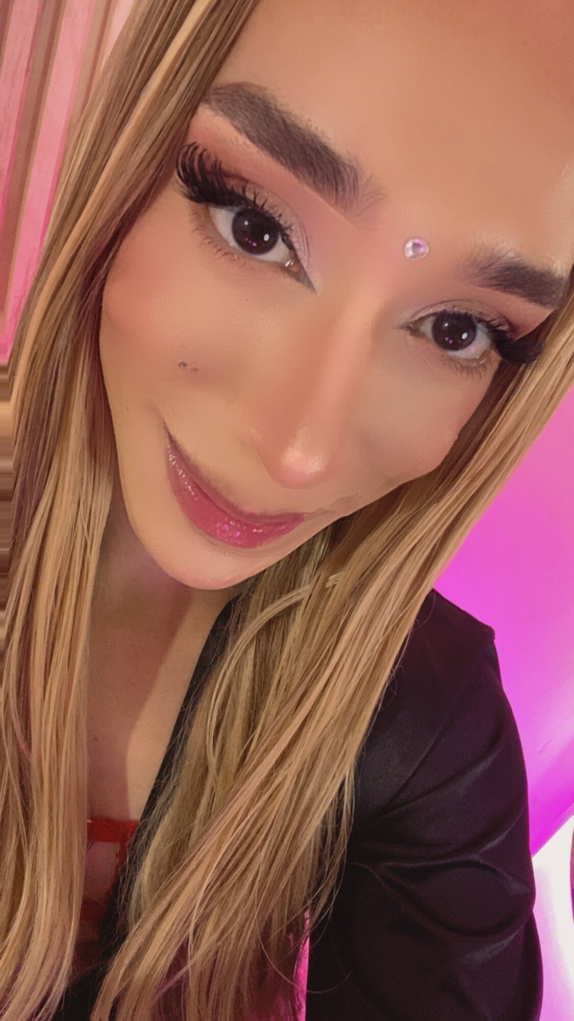 Aria_montgomeri Gambar Trending 2152