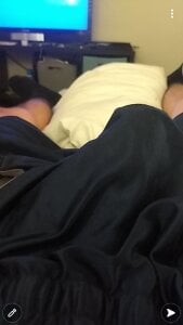 Public de anaconda_96  3 photos