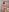 School_TeachのCristmas Pregnant naked photo (different cristmas costume)の枚の写真