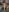 gunter_meiner Forest adventure 사진 9