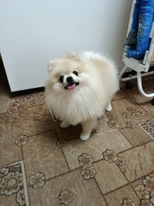 AveryBerkson walk on a day off Pic 6