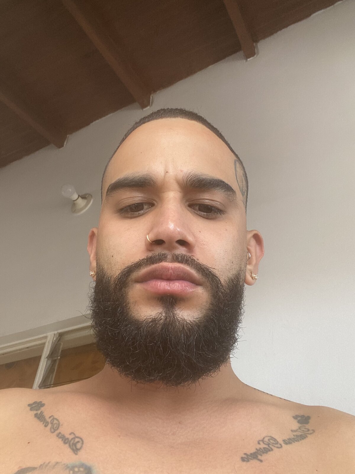 coleman_angel Populära bilder 4615