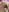 LostDawnMarshmallow照片 5