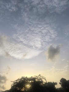 Riyansh_mehta Riyu Pic 5