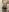 SamanthaVibeMeKiss my body照片 3