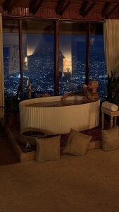 Adam_Meyer10 🍷 Foto 2