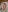 Addelin_Moon Hot photos in bed, look at me from above🔥 Photo 9