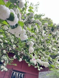 Tomeko-8181のPublicの 3枚の写真