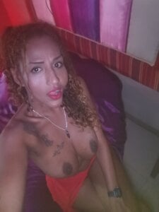 Mircka Mircka Gambar