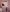 Amethyst_destiny full nude Pic 3