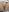 Anika_bloom Creampie Pic