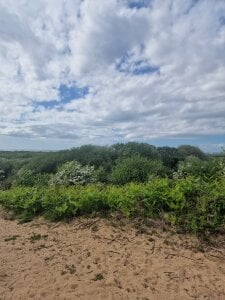 FriendlyDave Day out Foto 9