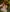Lifusun ☀️The forest nymph☀️ Photo 5