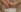 Everydayonli Pussy Bilder Εικόνα 4