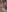 Titties🍒 de indie-rayne Fotos 9