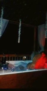 green-420 Public Foto