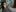 drizzypeach602 Bass Pro World Pic 7