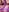 MyGuiltyPleasureXXX 🍆Suck Black dildo🖤 Pic 5