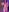 Ayeshaa__25 Holi nudes Photo 2