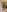 Eilin_clioWhat would you like to do照片 2