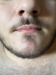 Public de Bardo_urso Foto 5