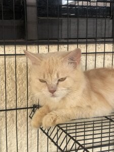 bebe_hemosa69x my bby Pic 6