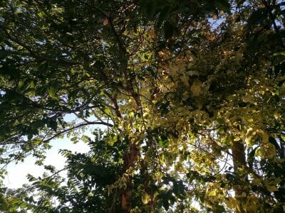 Ria_41: Public ( 2 фото)