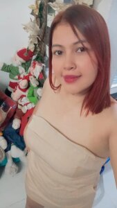 ElaxVex Public Εικόνα 2