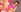 shayna_manson_ I WISH YOU A NICE DAY! Pic 5