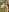 _Soo_dreamy_Oily Breasts + Oily Muscles图片