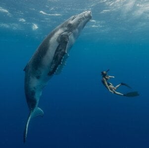 Kayser_hotboy COLOMBIA Pic 2