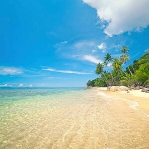 Lovely_couple24 Free mind Hình 2