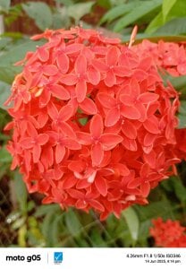 Rshi994 Public รูป  5