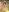 URARAxo 彼女のうらら🤍 Pic 9