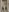LaylaaStar Me (explicit) Pic 8