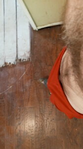 KitriderのPublicの 6枚の写真