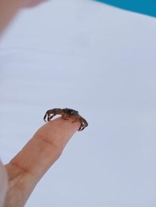 samanta_xi Public Pic