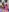 _Alice_Abby I am sexi Foto  4