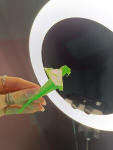 _HelenCarter: My origami ( 7 фото)
