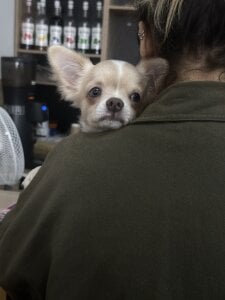 stripcouplee <3 зображення 4