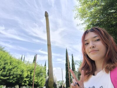 AlliciaKim trips Foto 7